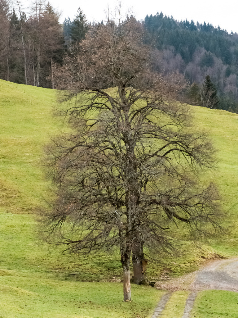 PSX_20230219_222413 | mtkfoto_ - Realisiert mit Pictrs.com