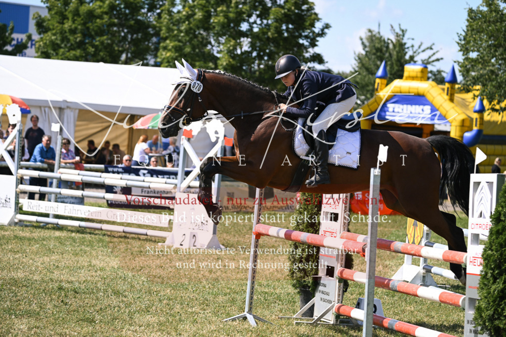 DSC_0471 | Pferde- und Turnierfotografie in Westsachsen. Pferdeportraits, Auftragszeichnungen und intuitive Kunst.