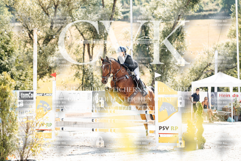 CK908734 | Turnierfotografie Pferdefotografie Trier Rheinland-Pfalz Pferdesport Reitsport Tierfotografie Sportfotografie Pferdevideo Pferdevideografie Equestrianvideography equestrianphotography  - Realisiert mit Pictrs.com