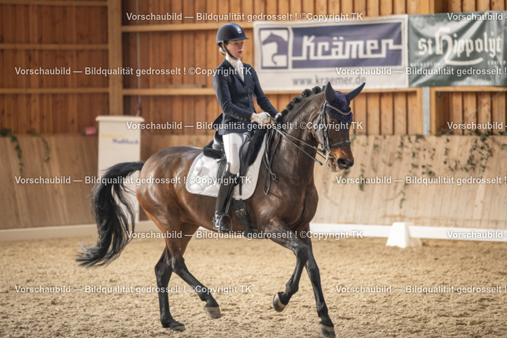 _D5A6439 | Emotionale Pferde- & People-Fotografie rund um Heidelberg, Leimen & Umgebung. Natürliche Fotos von Pferd, Mensch & Familie. Jetzt Termin sichern!