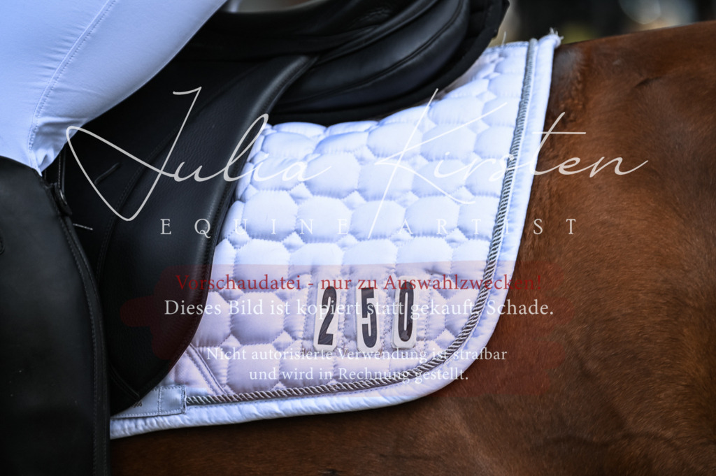 DSC_8164 | Pferde- und Turnierfotografie in Westsachsen. Pferdeportraits, Auftragszeichnungen und intuitive Kunst.