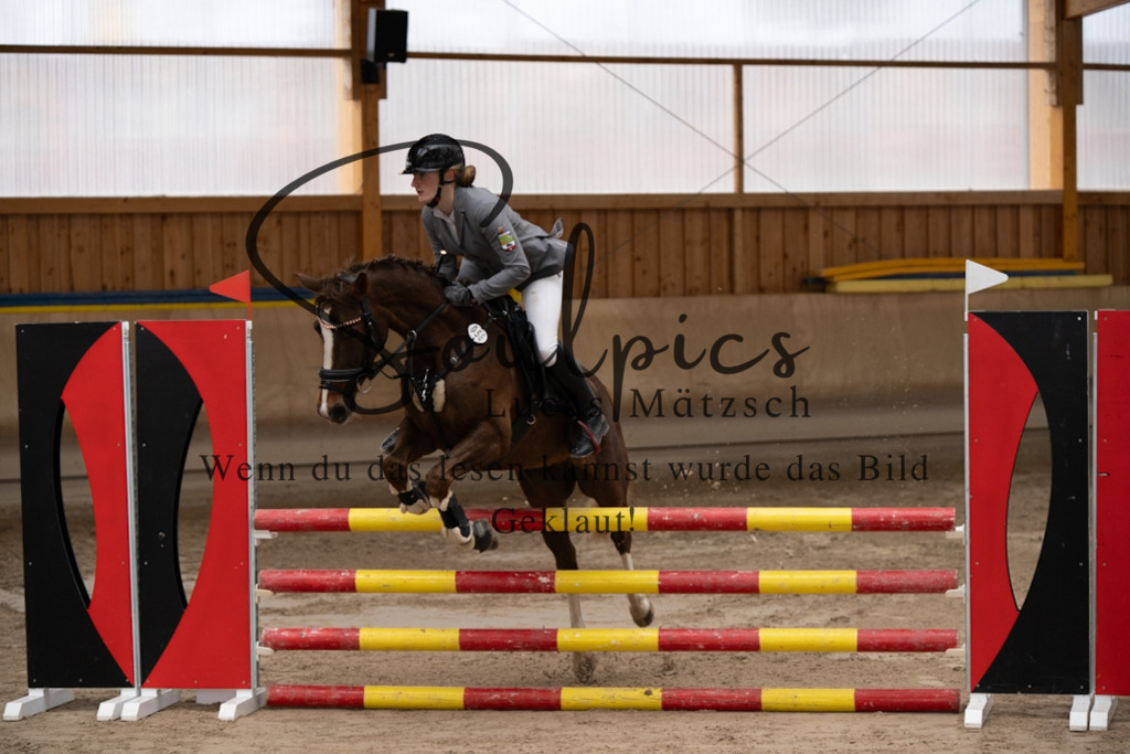 A7V00661 | Pferdefotograf