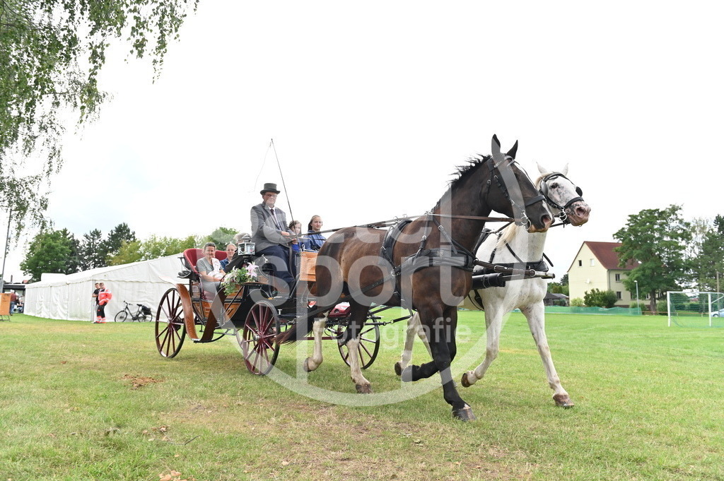 DSC_3583 | sattelsport - Realisiert mit Pictrs.com