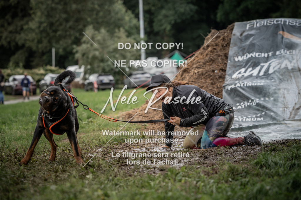 nelerasche_Wingst_Sa1300-1330_406 | nelerasche