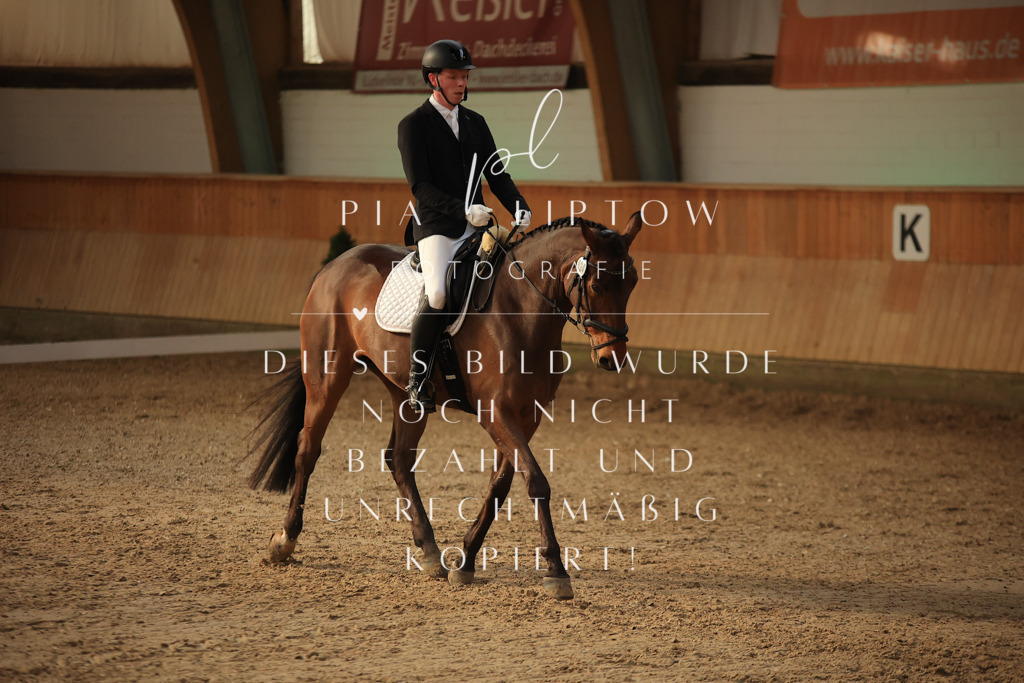 IMGT2117 | pl-fotografie