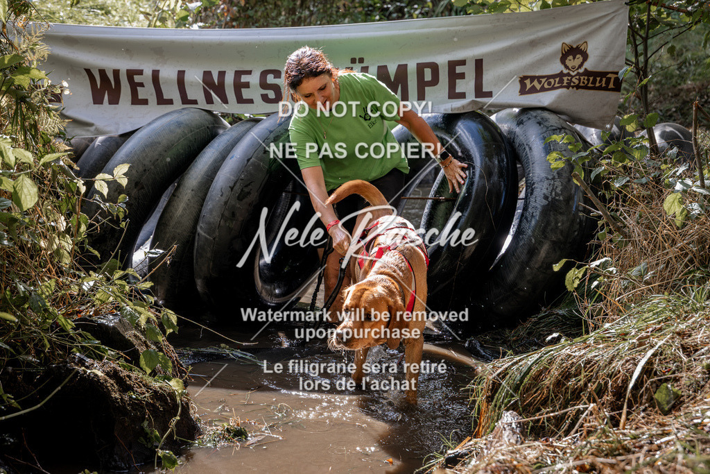nelerasche_Hunsrück2026_Sa1400-1500_35 | nelerasche