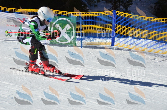 C4684 | holidayphoto