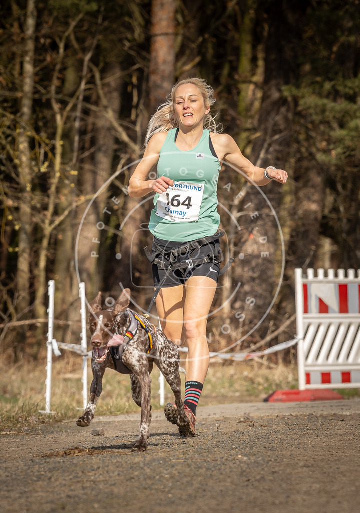 DV3A5596 | Hundefotografie, Tierfotograf, Pfotenfotografie, Fotoshooting Hund, Hunde Portrait, Hundesport, Hundeportraits, Heideshooting, Hunde, Sportfotograf, Hundefotograf, Turnierhundsport, THS,  - Realisiert mit Pictrs.com