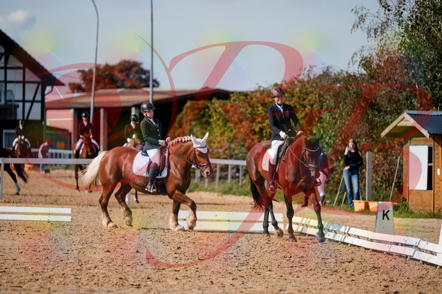 2026_10_03_Siefer-Hof_130504_Z63_68359035 | Professionelle Reitsport-, Turnier- und Eventfotografie von Robert Broda. Galerien mit ausgewählten und bearbeiteten Bildern direkt online ansehen und bestellen.
