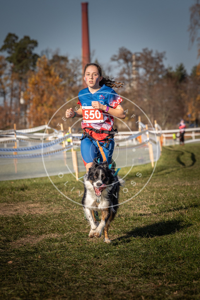 CaniXpix_0L8A7638 | Hundefotografie, Tierfotograf, Pfotenfotografie, Fotoshooting Hund, Hunde Portrait, Hundesport, Hundeportraits, Heideshooting, Hunde, Sportfotograf, Hundefotograf, Turnierhundsport, THS,  - Realisiert mit Pictrs.com