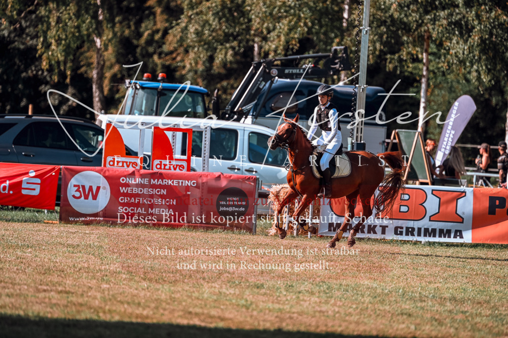 DSC_0863 | Pferde- und Turnierfotografie in Westsachsen. Pferdeportraits, Auftragszeichnungen und intuitive Kunst.