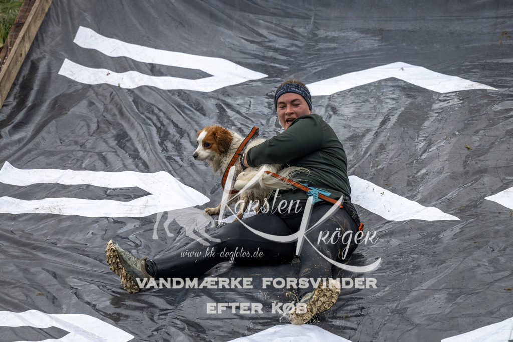 1330_ZZ92163 | kk-dogfotos