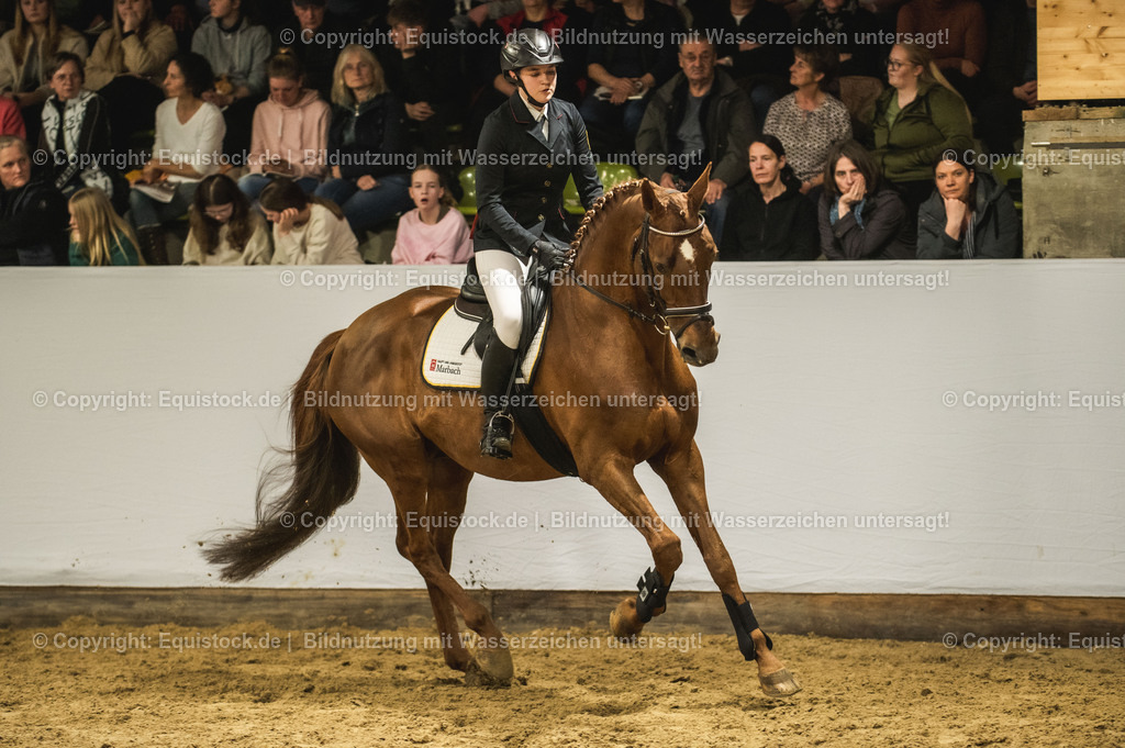 20240302_Hengstvorstellung_Marbach_TOMsPiC_1357-2 | equistock