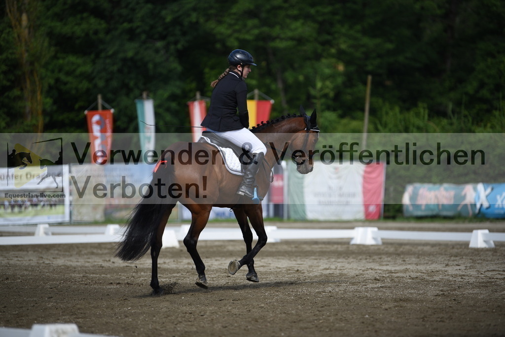 DSC_7599 | equestrian-live-com