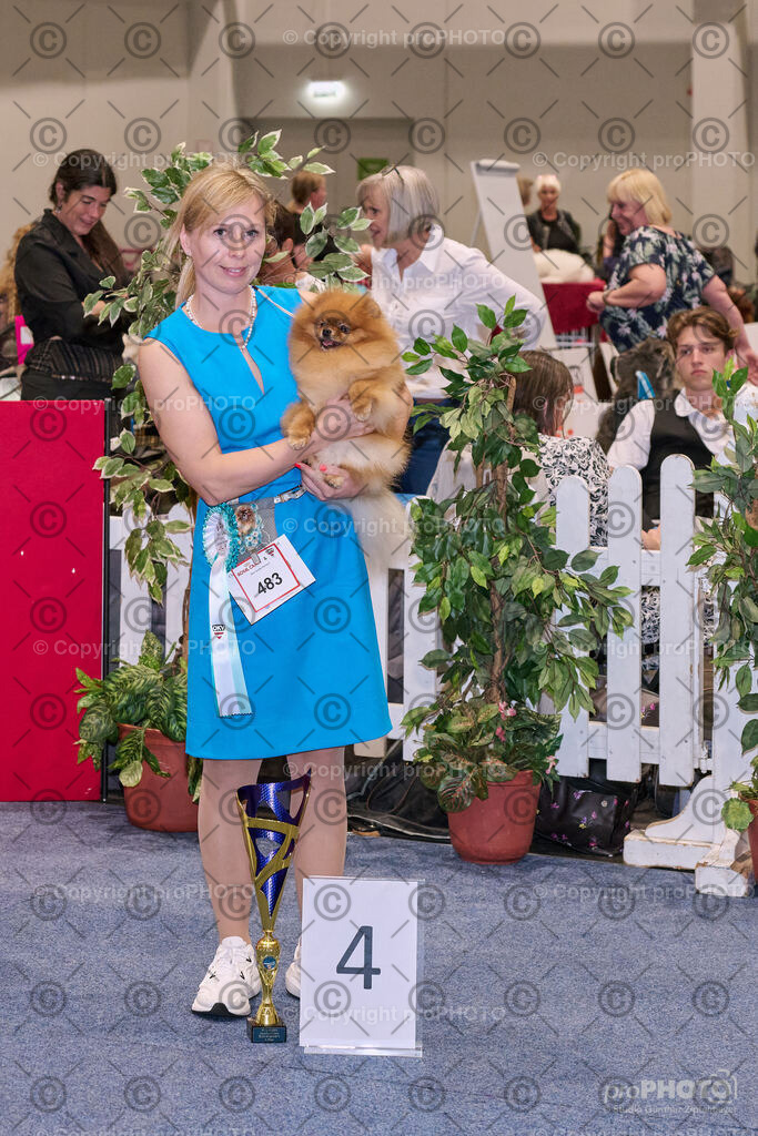 202406_ÖKV-IHA-Tulln24_NZ9_7849 | proPHOTO - Realisiert mit Pictrs.com