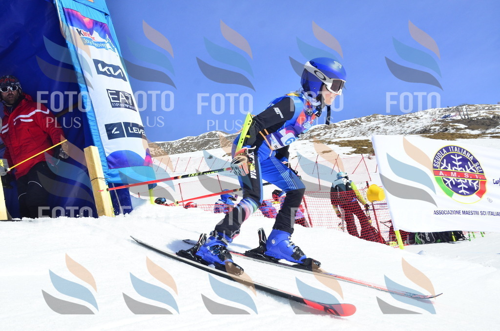 _ELE0276 | holidayphoto