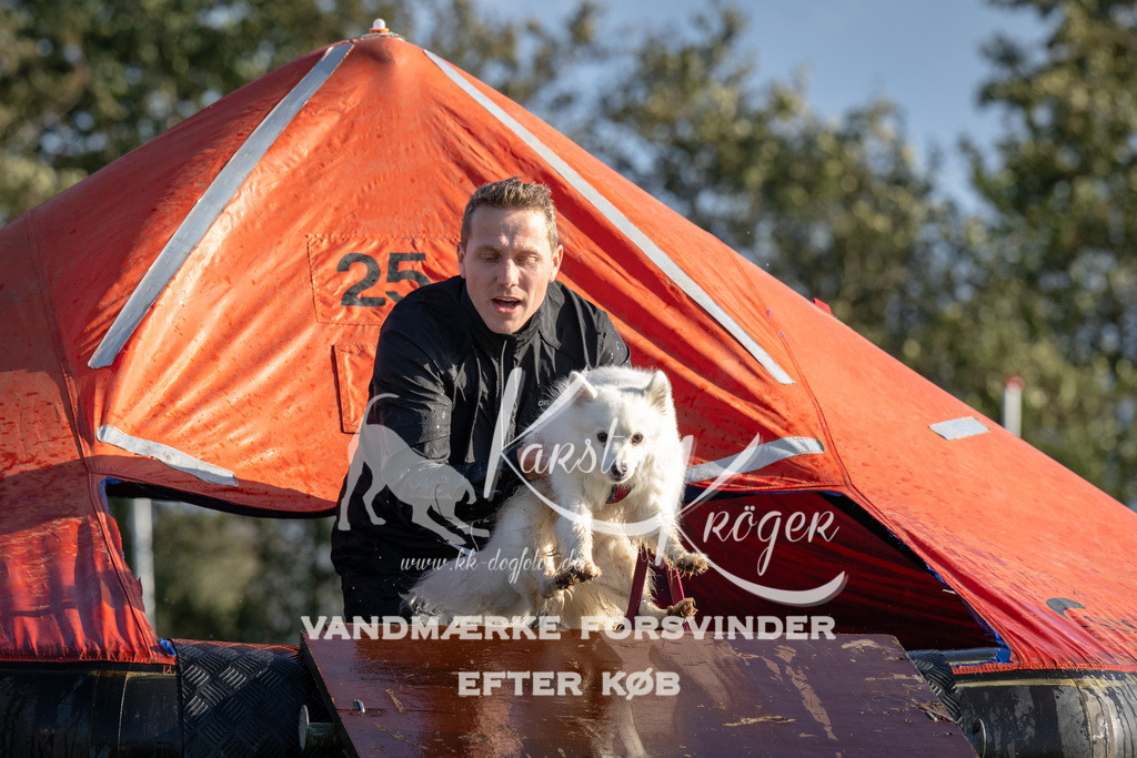1453-90229 | kk-dogfotos