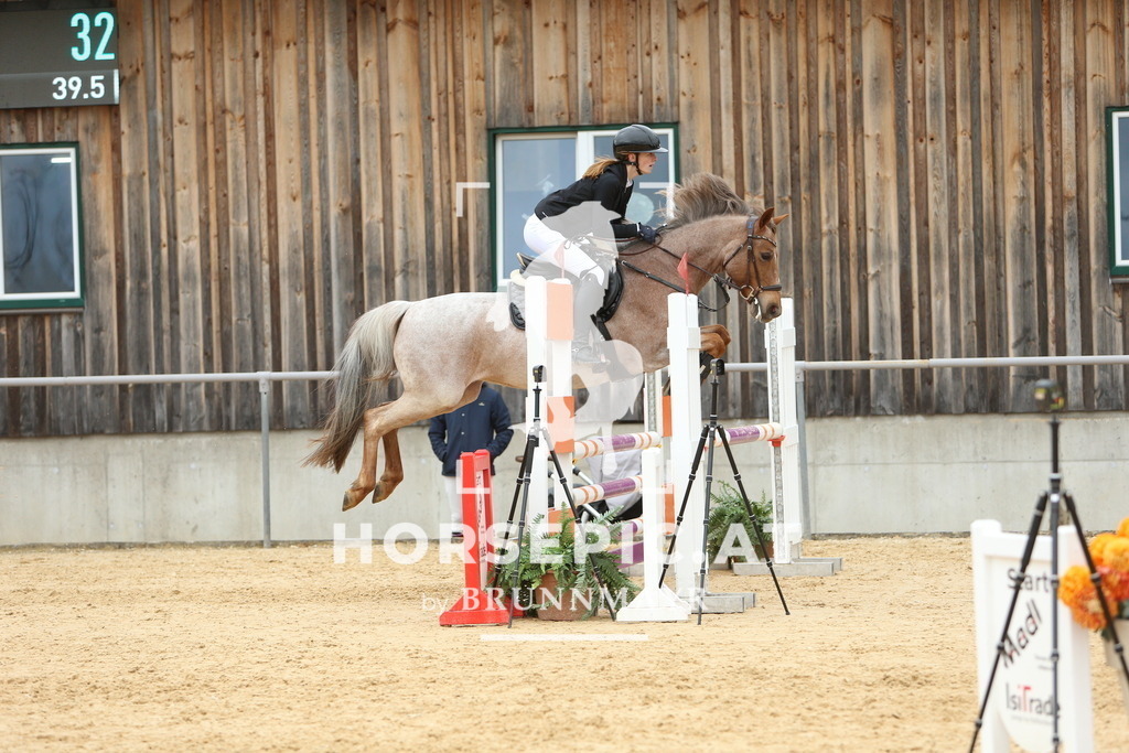 DL2Q2614 | Willkommen bei Brunnmayr - Design & Fotografie – Ihrem Spezialisten für Reitturniere und Pferdeveranstaltungen in Oberösterreich, Salzburg und Bayern! Seit über 17 Jahren sind wir leidenschaftlich dabei.