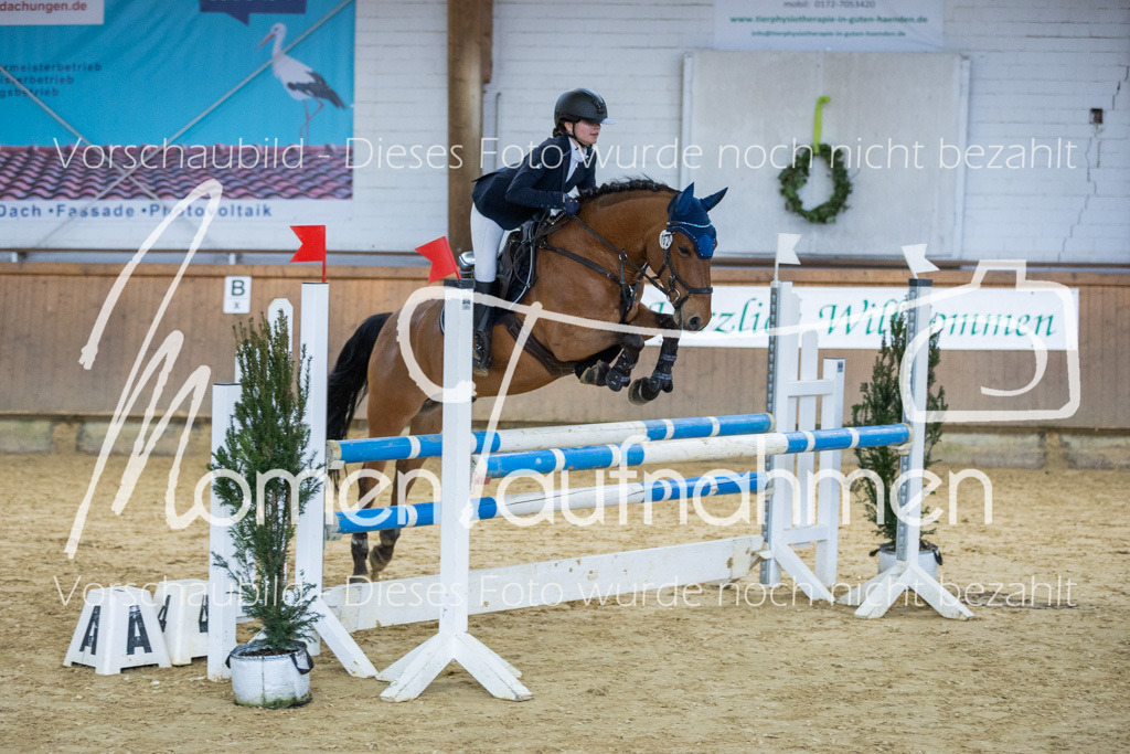 Sth-LPO25-A2St-006 | MomenTaufnahmen Pferdesportfotos