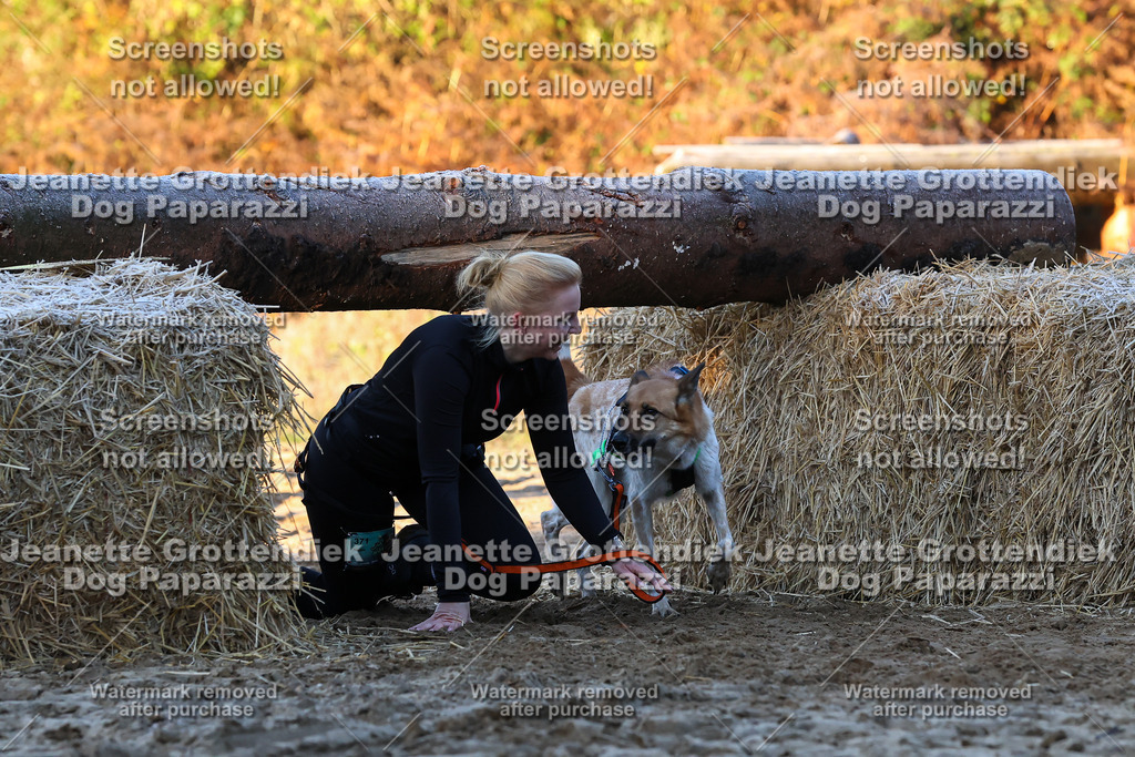 Dog Paparazzi - Strongdog 10-25-475 | Dog Paparazzi Jeanette Grottendiek Fotografie & Videografie