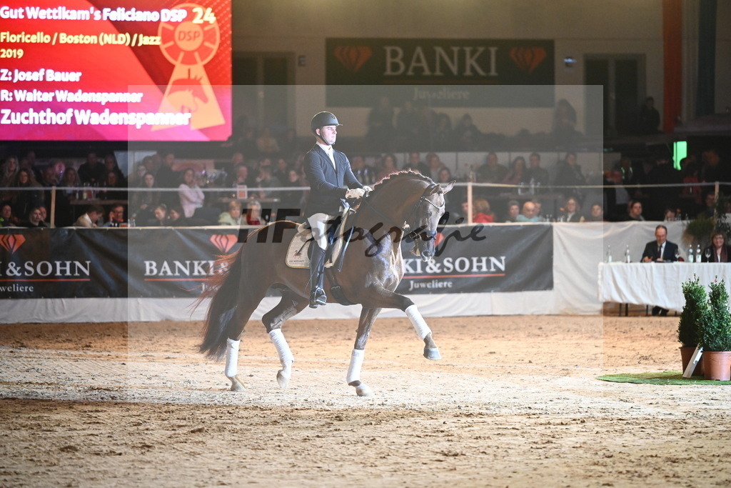 Feliciano_2242154 | hf-fotografie - Realisiert mit Pictrs.com