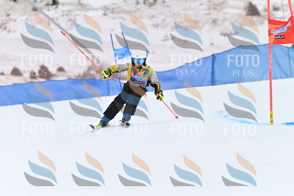 BGV_3344 | holidayphoto