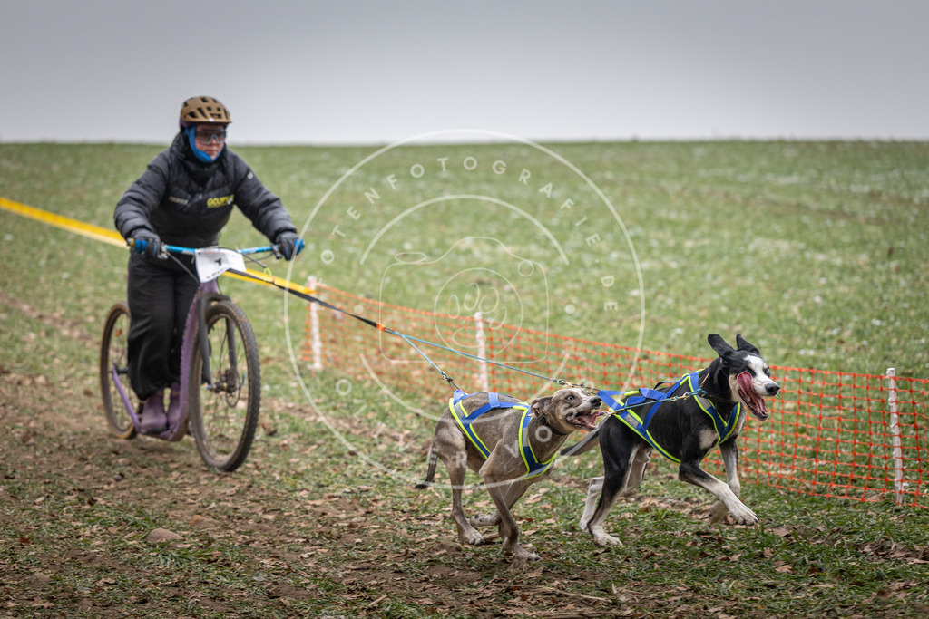 Pfotenfotografie_DV3A2141 | Hundefotografie, Tierfotograf, Pfotenfotografie, Fotoshooting Hund, Hunde Portrait, Hundesport, Hundeportraits, Heideshooting, Hunde, Sportfotograf, Hundefotograf, Turnierhundsport, THS,  - Realisiert mit Pictrs.com