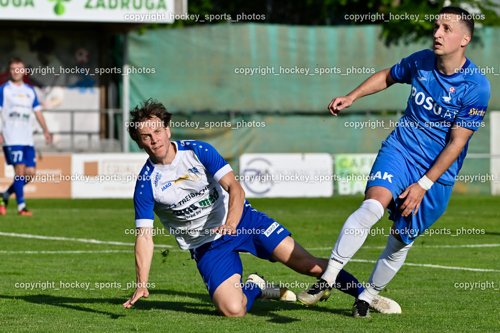 SAK vs. SK Treibach | #6 David Armin Hude Böck SK Treibach, #11 Enes Brdjanovic SAK, SAK vs. SK Treibach, SAK vs. SK Treibach am 29.05.2024 in Klagenfurt (Sportpark Welzenegg), Austria, (Photo by Bernd Stefan)