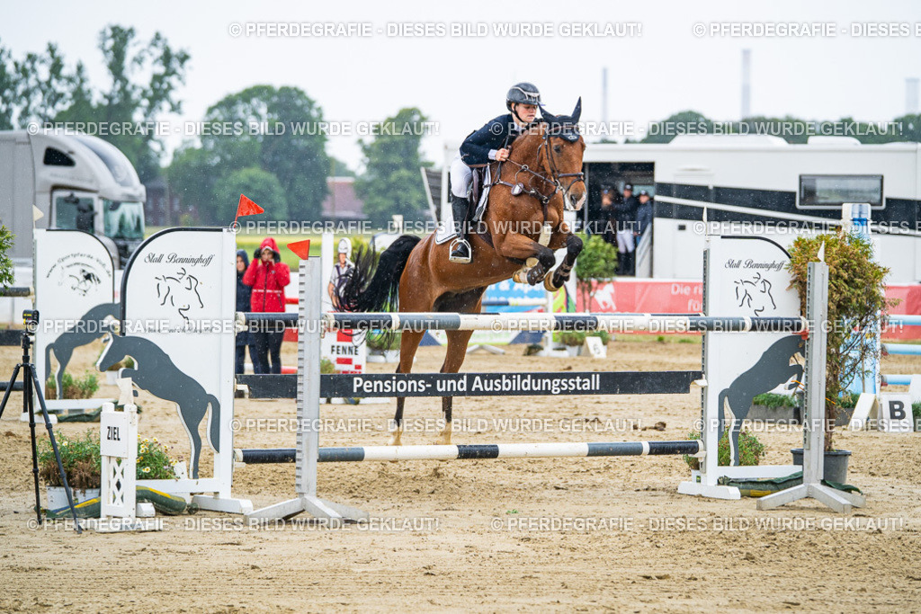 DSC08751 | Pferdegrafie