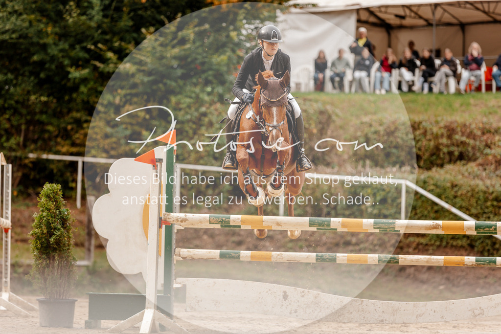 3I6A8163 | Stimmungsvolle Portraits und Reitsportfotografie im Ruhrgebiet und im Münsterland.

Pferdefotografie, Hundefotografie, Tierfotografie, Reportagen, Portraits von Tier und Mensch, Turnierfotografie in Bochum, Recklinghausen, Marl, Haltern am See, Dülmen.. - Realisiert mit Pictrs.com
