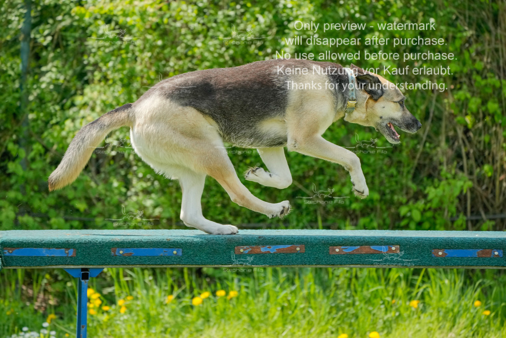 Sa_Laeufe_VK1und2_06-1 | stephaniefillaphotographie - Realisiert mit Pictrs.com