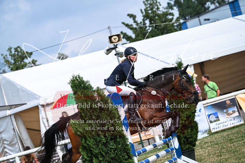 DSC_8248 | Pferde- und Turnierfotografie in Westsachsen. Pferdeportraits, Auftragszeichnungen und intuitive Kunst.