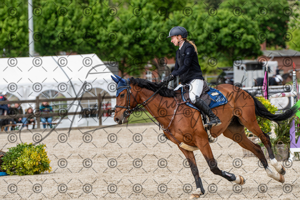 KPT_9864 | andre_photographic