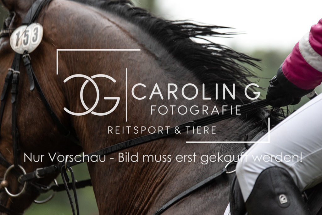 DSC_1287 | Turnierfotografin Carolin Gieschke, Turnierfotografie Carolin G Fotografie, Turnierfotos Kirchheim/Teck, Esslingen, Stuttgart, Bodenseekreis