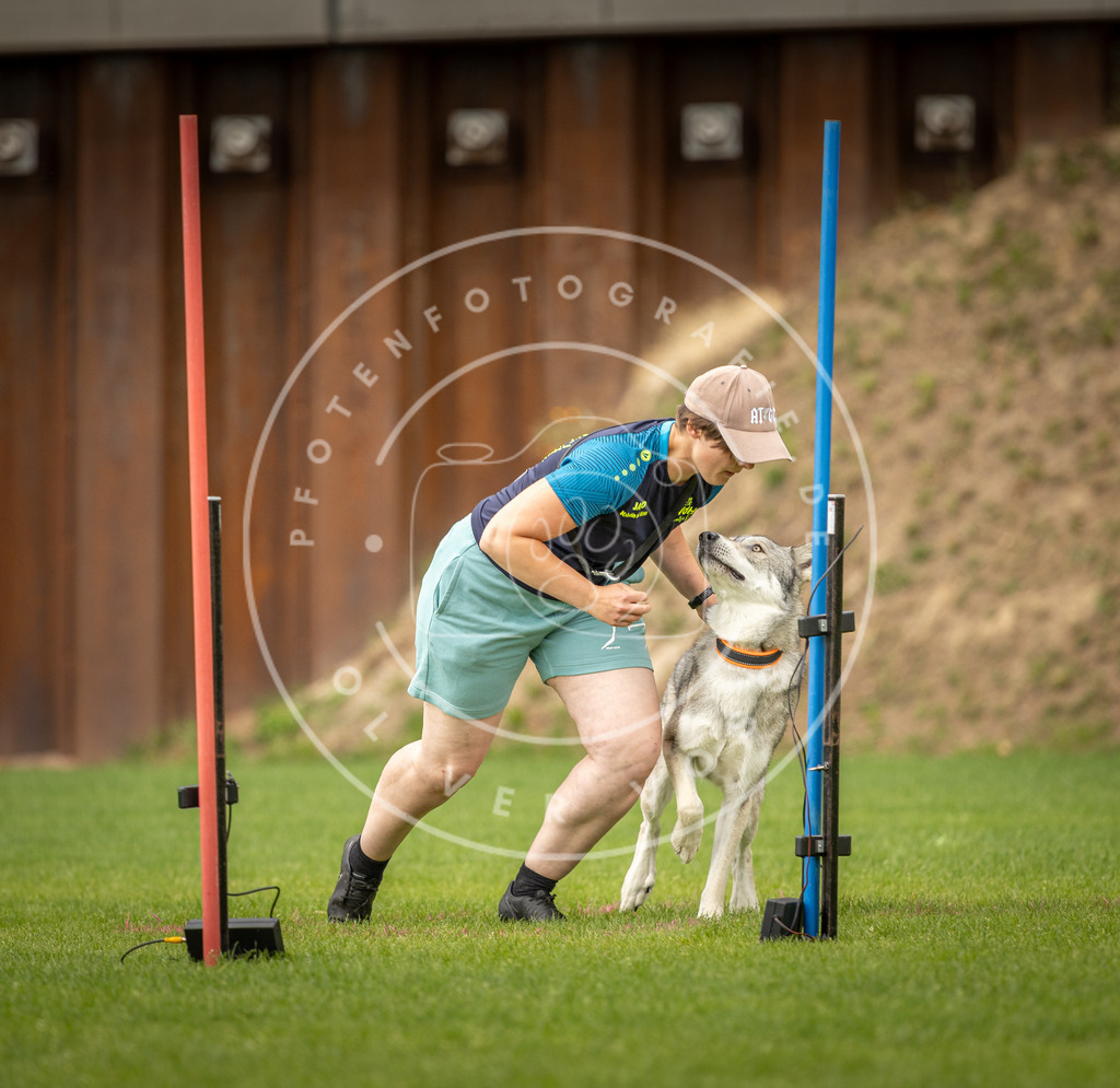 Pfotenfotografie_DV3A1671 | Hundefotografie, Tierfotograf, Pfotenfotografie, Fotoshooting Hund, Hunde Portrait, Hundesport, Hundeportraits, Heideshooting, Hunde, Sportfotograf, Hundefotograf, Turnierhundsport, THS,  - Realisiert mit Pictrs.com