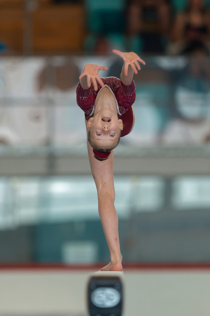 _D4S8513_DxO-1 | photoluigi