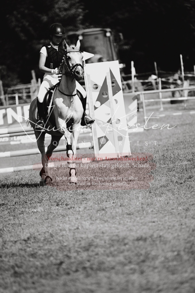 DSC_9919 | Pferde- und Turnierfotografie in Westsachsen. Pferdeportraits, Auftragszeichnungen und intuitive Kunst.