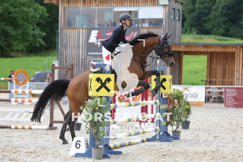 0P6A3031 | Willkommen bei Brunnmayr - Design & Fotografie – Ihrem Spezialisten für Reitturniere und Pferdeveranstaltungen in Oberösterreich, Salzburg und Bayern! Seit über 17 Jahren sind wir leidenschaftlich dabei.