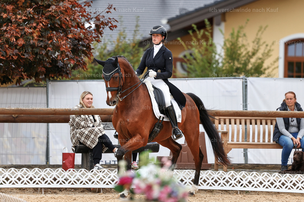 11-048-Dressur S___-StoibPH-1399 | working equitationturnier fotograf videograf stoibphotography marixx film working equitation deutschland reitsport turnierfotografie eventfotografie equestrian events