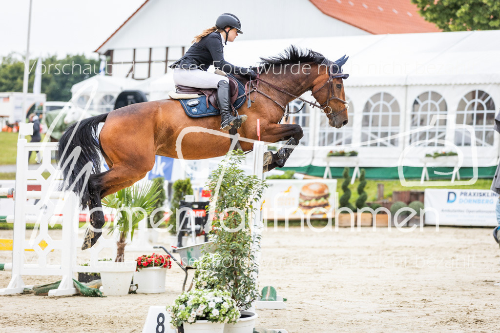 BHO-2PhSpr-M-183 | MomenTaufnahmen Pferdesportfotos