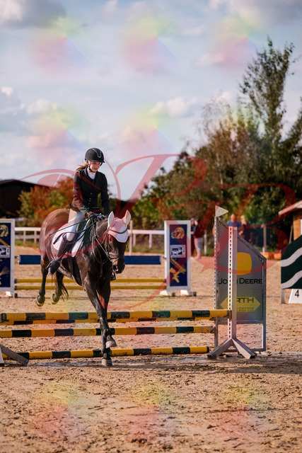 2026_10_03_Siefer-Hof_153520_Z81_46956772 | Professionelle Reitsport-, Turnier- und Eventfotografie von Robert Broda. Galerien mit ausgewählten und bearbeiteten Bildern direkt online ansehen und bestellen.