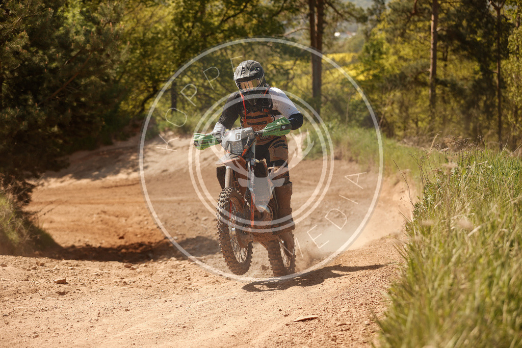 RottlebenIGE25_Lauf5-590 | koppe-media