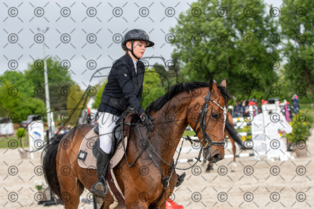 KPT_9895 | andre_photographic