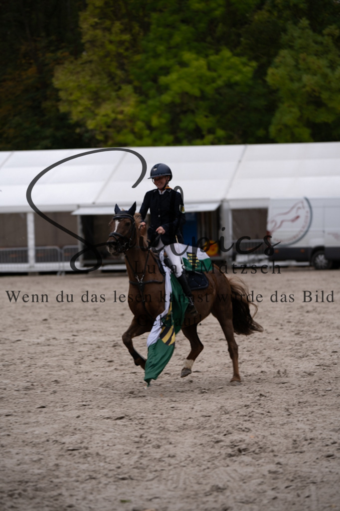 A7V01594 | Pferdefotograf