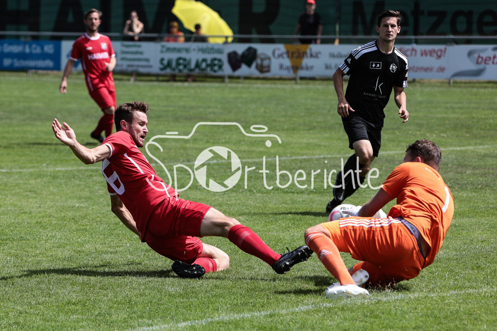 TSV Hollenbach - ASV Dachau | TSV #16