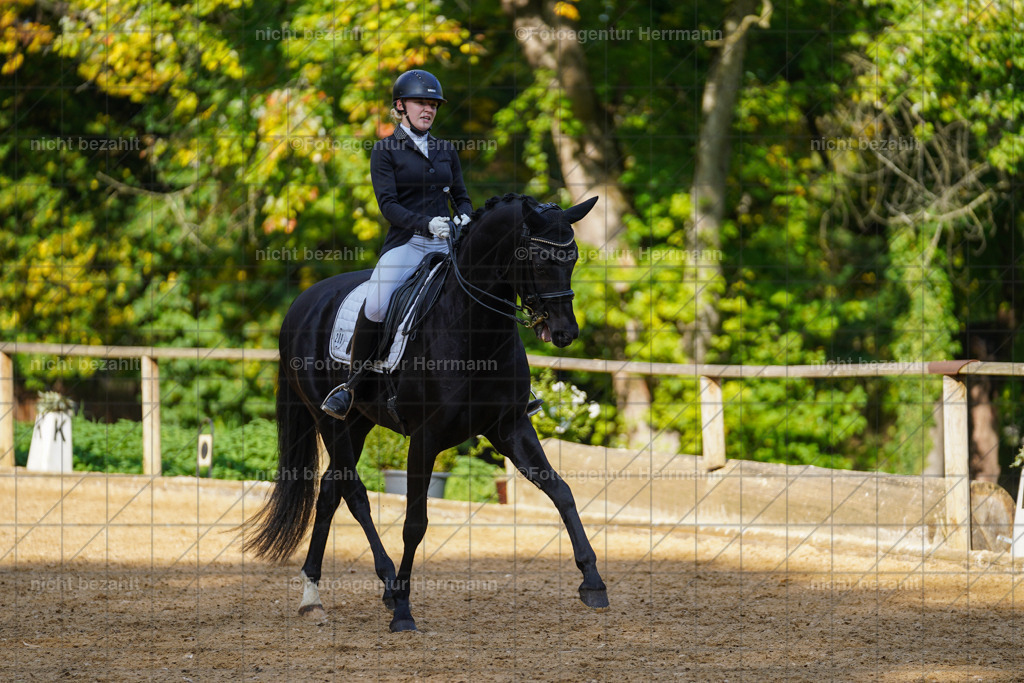 20221007-FAH00030 | Diessen am Ammersee, 2022, Dressur- und Springturnier, Reitsportbilder, Turnierfotografen Bayern, Pferdefotografen, Fotoagentur Herrmann, Turnierbilder