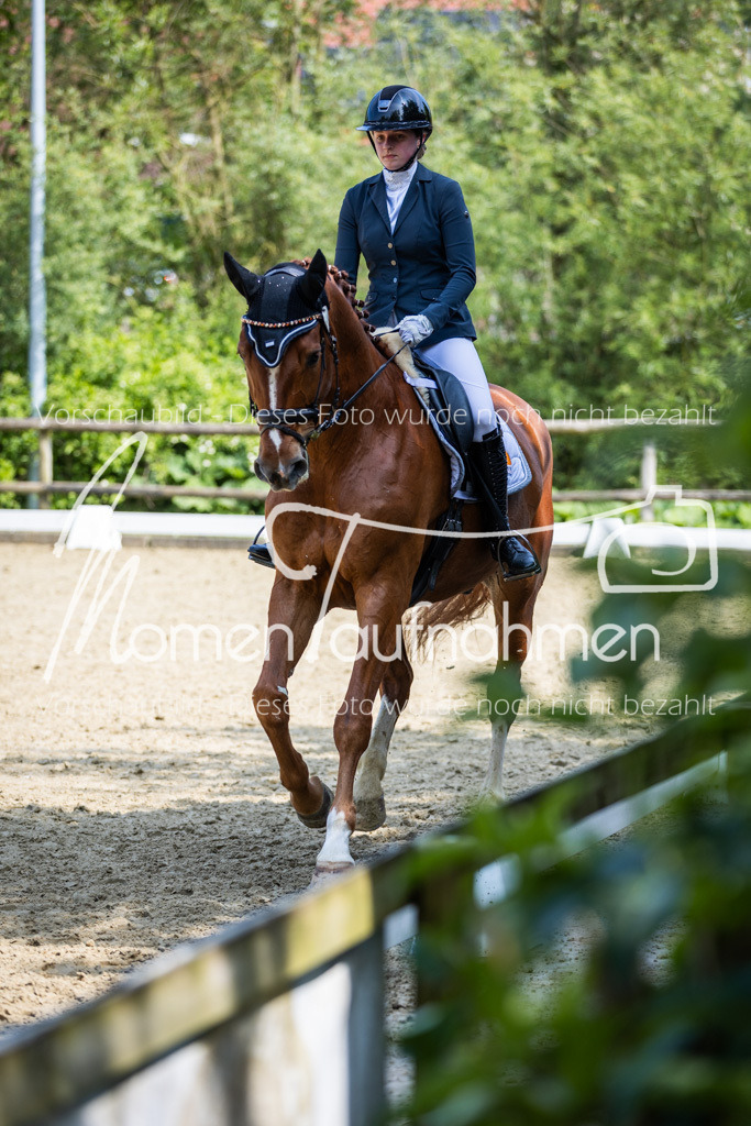 Donop24-L-Dre-024 | MomenTaufnahmen Pferdesportfotos