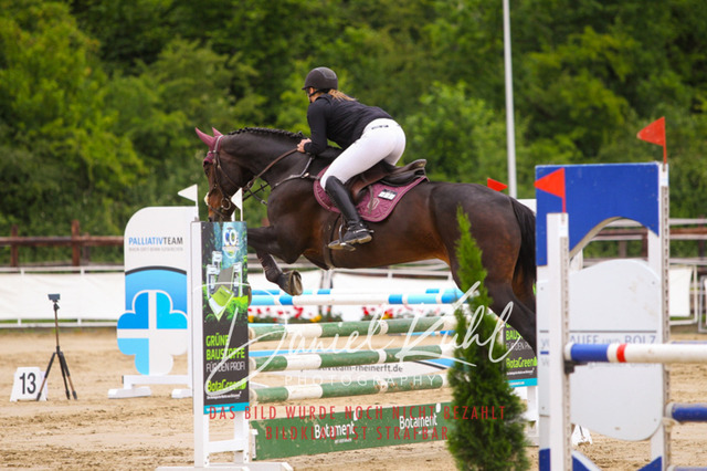 DKP41770 | Turniersportfotografie; Pferdefotografie; Dressurfotografie