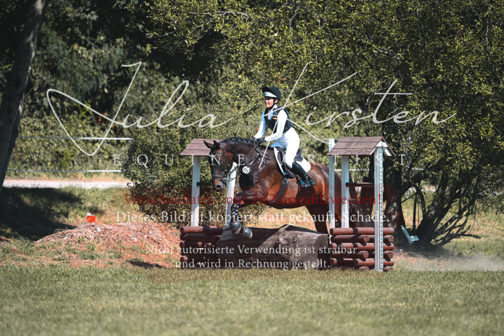 DSC_8211 | Pferde- und Turnierfotografie in Westsachsen. Pferdeportraits, Auftragszeichnungen und intuitive Kunst.
