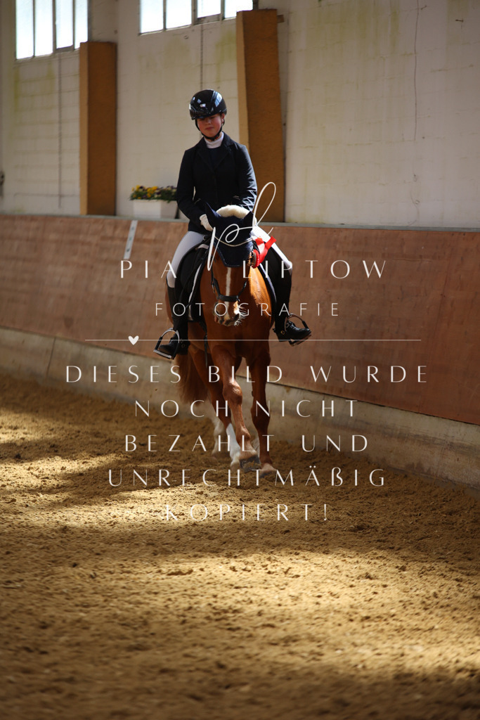 IMGT4236 | pl-fotografie